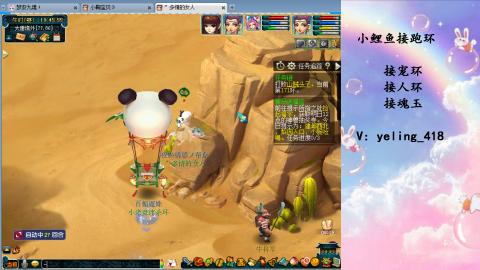 接命魂之玉 人环 宠环