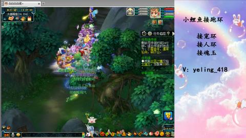 接命魂之玉 人环 宠环