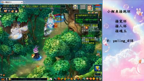 接命魂之玉 人环 宠环