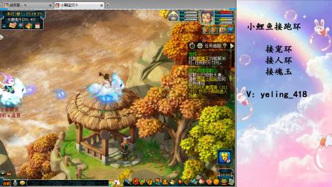 接命魂之玉 人环 宠环