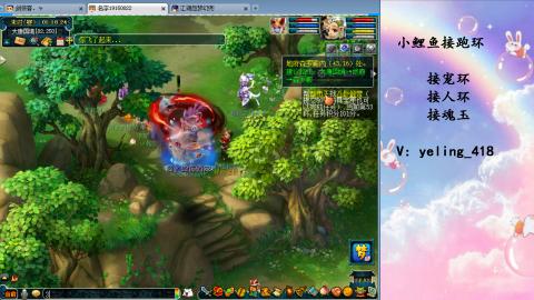 接命魂之玉 人环 宠环