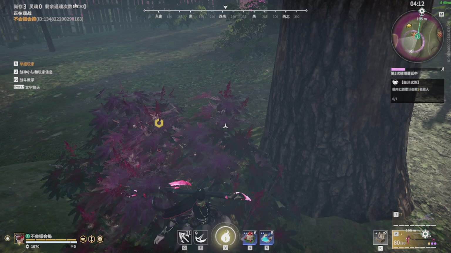 卿梦安心的直播间