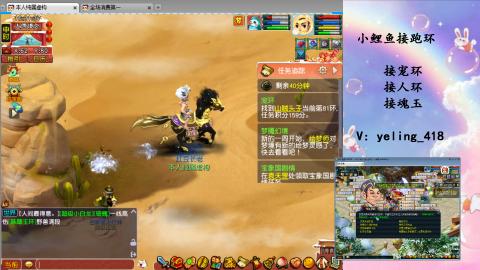 接命魂之玉 人环 宠环