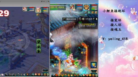 接命魂之玉 人环 宠环