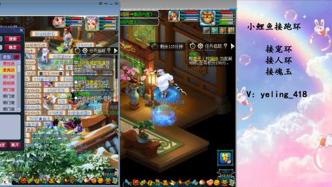 接命魂之玉 人环 宠环