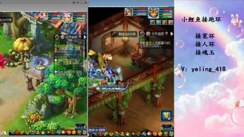 接命魂之玉 人环 宠环