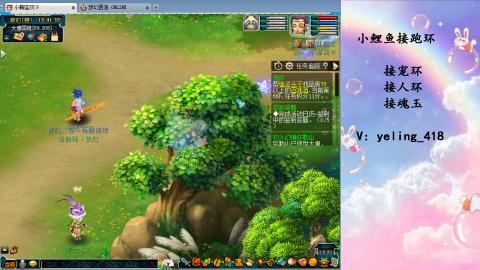 接命魂之玉 人环 宠环