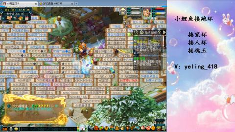 接命魂之玉 人环 宠环