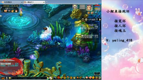 接命魂之玉 人环 宠环