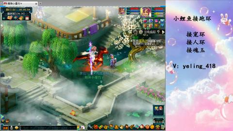 接命魂之玉 人环 宠环