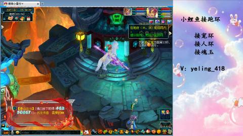 接命魂之玉 人环 宠环