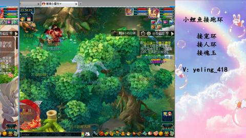 接命魂之玉 人环 宠环