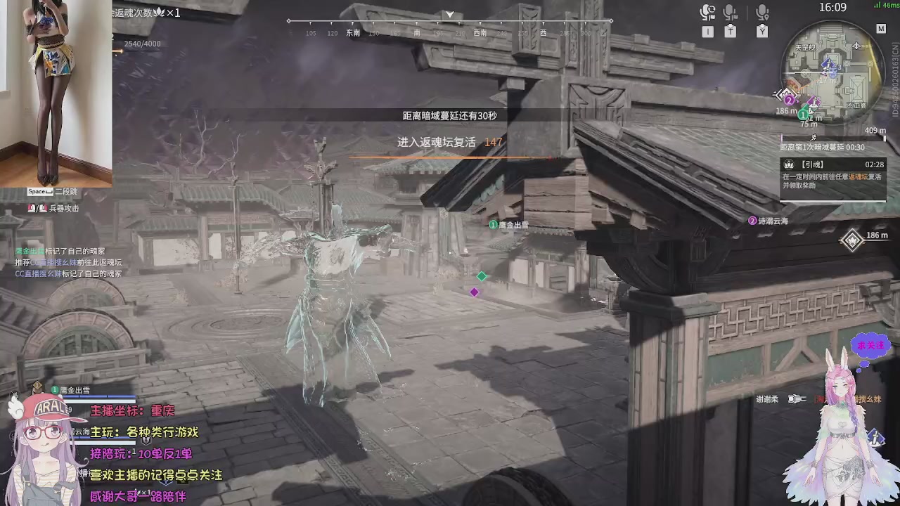 美貌与智慧并存，颜值与才华齐飞