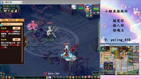 接命魂之玉 人环 宠环