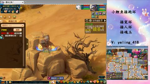 接命魂之玉 人环 宠环