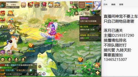 接九转蜃境托管~