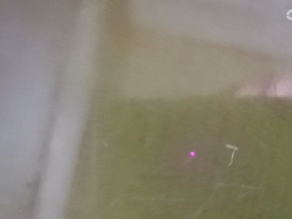 别翻了~就我了~