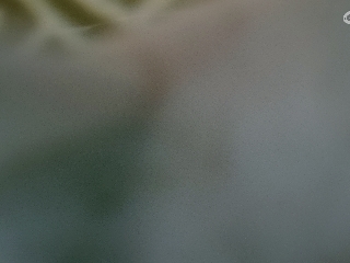 不要留下我一个人孤军奋战..