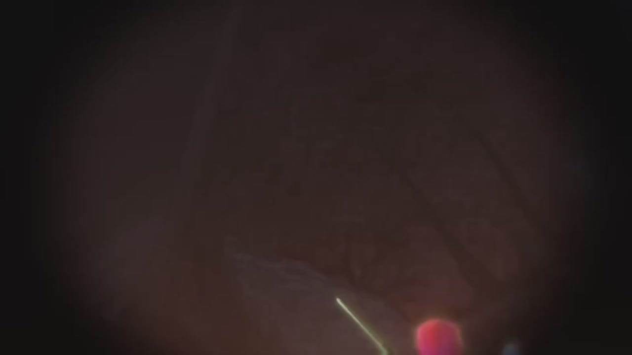 梦幻西游动画片第二季第9集