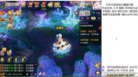 接熔练-找号-金银-练宠粽子月饼