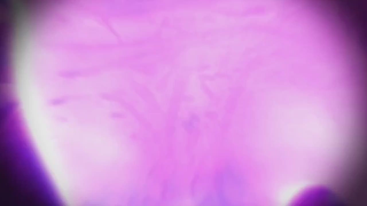 梦幻西游动画片第二季第9集