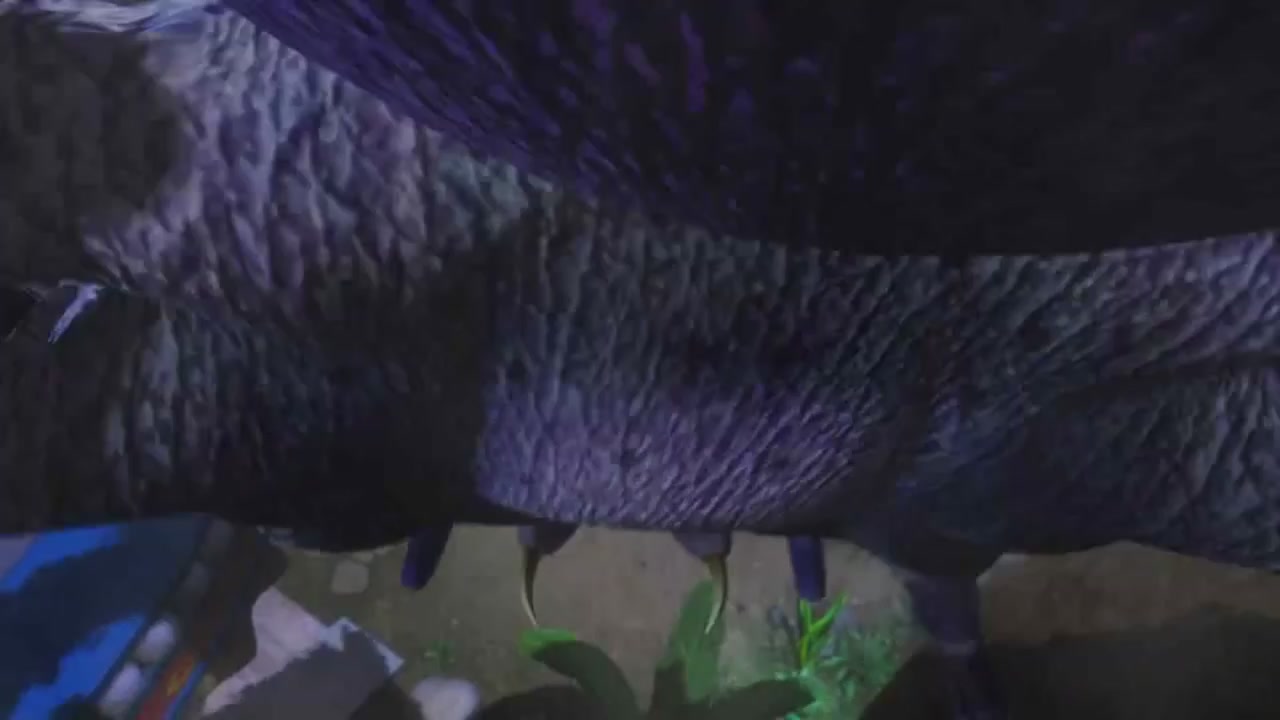 梦幻西游动画片第一季第6集