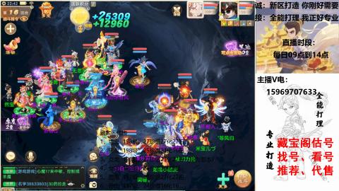 专业新老区打造、提升！