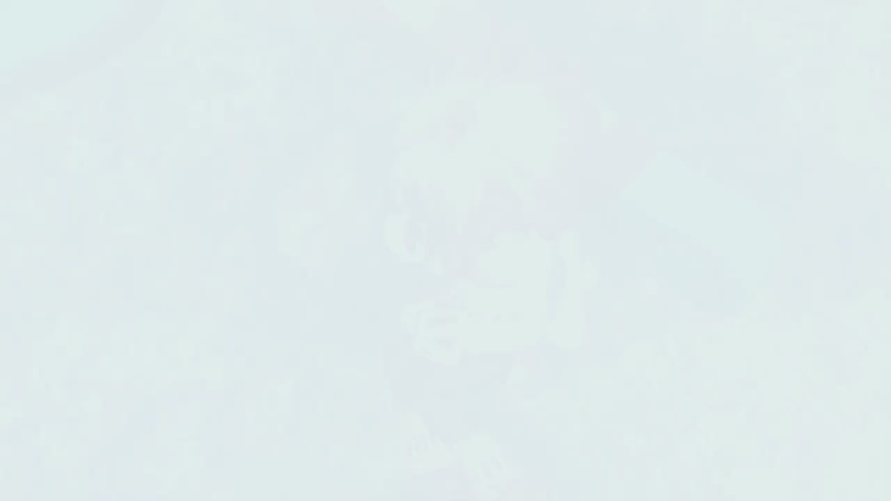 梦幻西游动画片第四季第11集