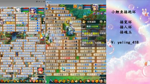 接命魂之玉 人环 宠环