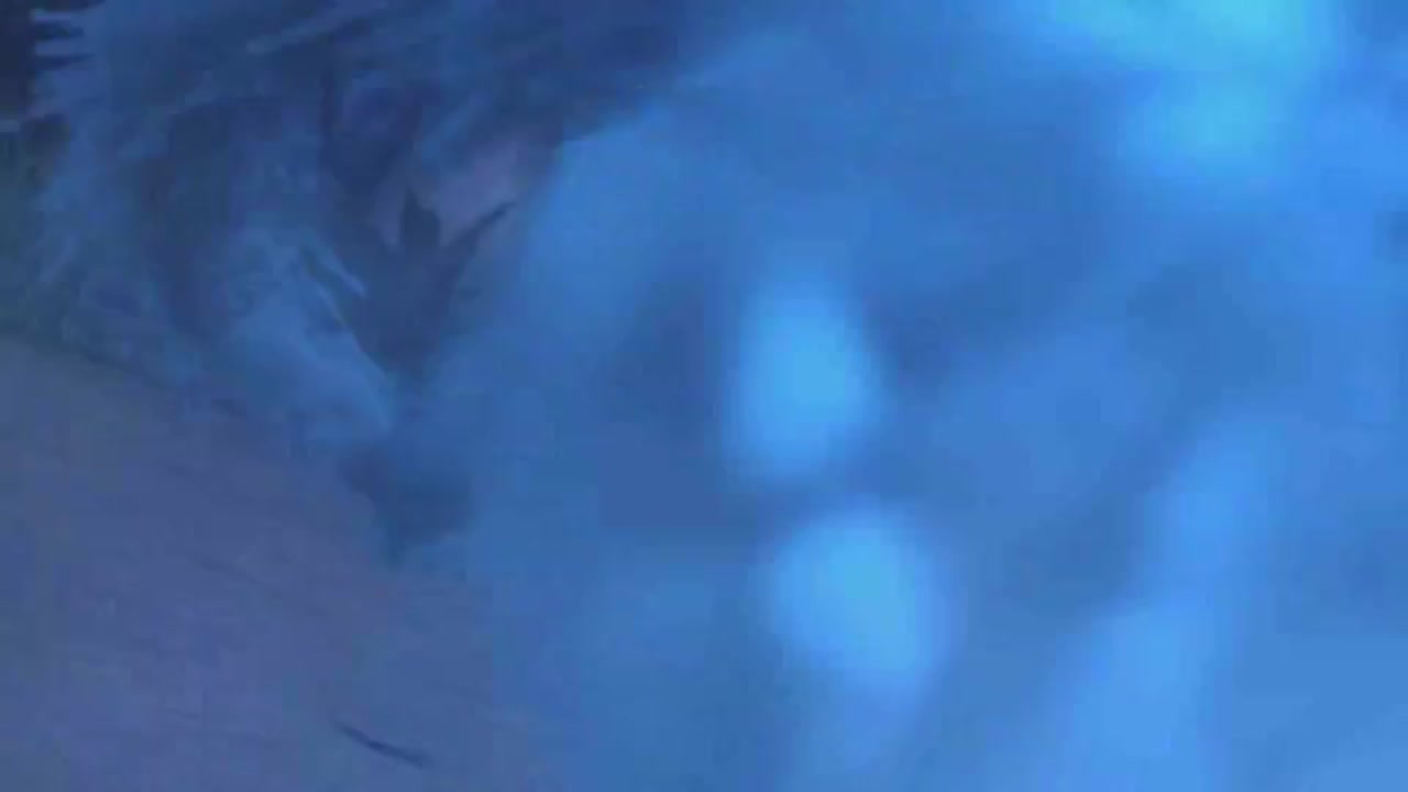 梦幻西游动画片第一季第3集