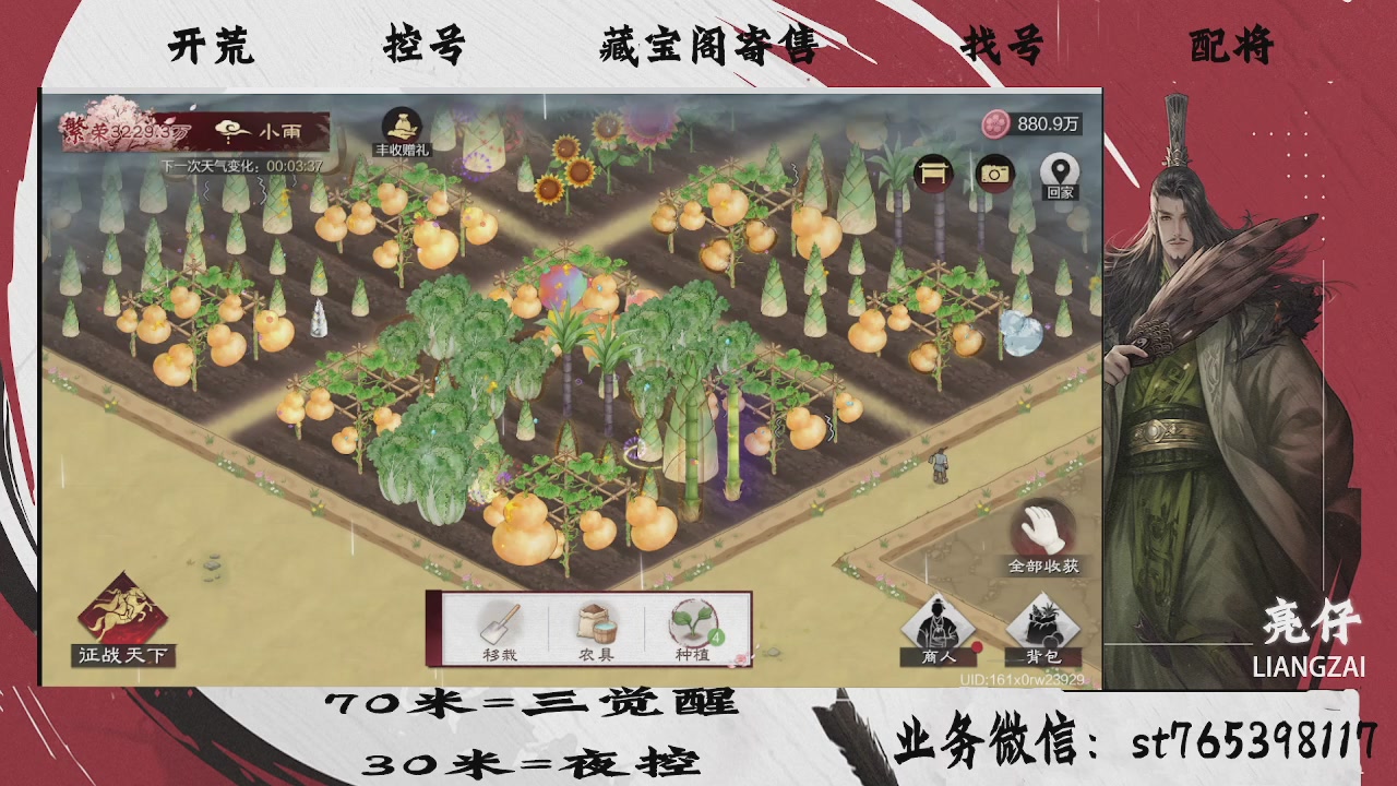 过年不休息，接开荒，夜控，找号，寄售