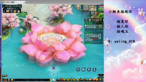 接命魂之玉 人环 宠环