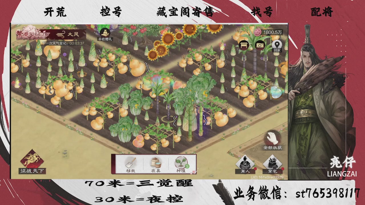 过年不休息，接开荒，夜控，找号，寄售