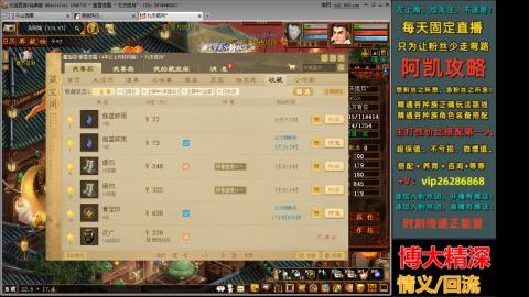 阿凯搭配装备中