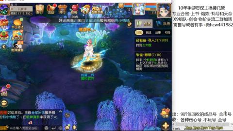 接熔练-找号-金银-练宠粽子月饼