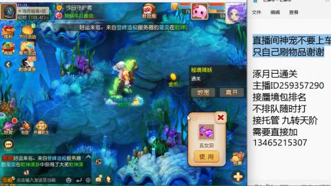 接九转蜃境托管~