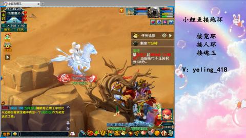 接命魂之玉 人环 宠环