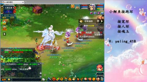 接命魂之玉 人环 宠环