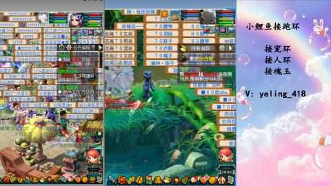 接命魂之玉 人环 宠环