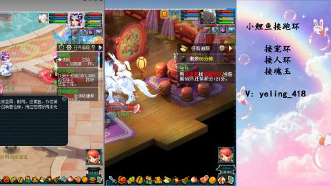 接命魂之玉 人环 宠环