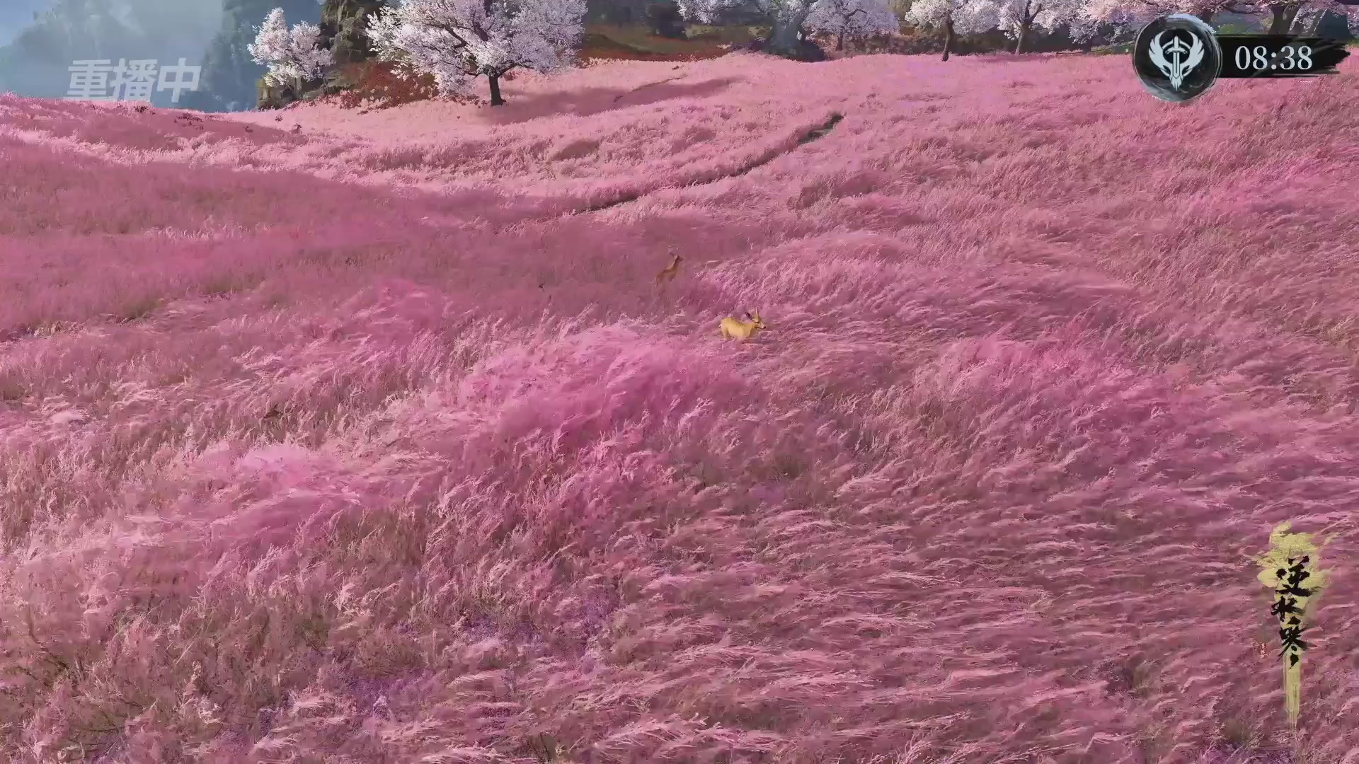 【重播】逆水寒赛季服第七届诸神之战Day3