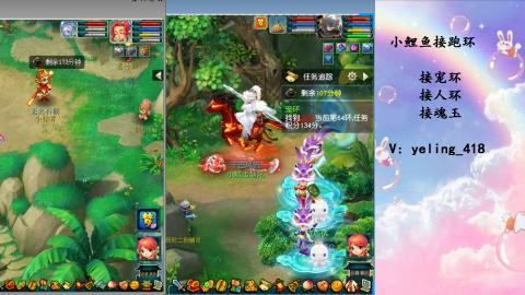 接命魂之玉 人环 宠环