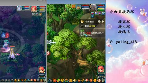 接命魂之玉 人环 宠环