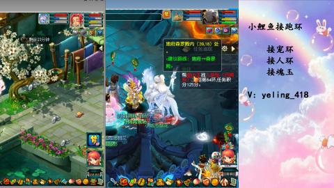 接命魂之玉 人环 宠环