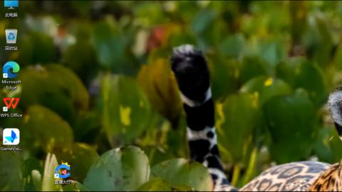 只希望我能带给你们快乐