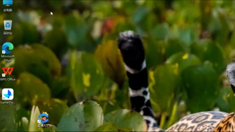 接九转蜃境托管~