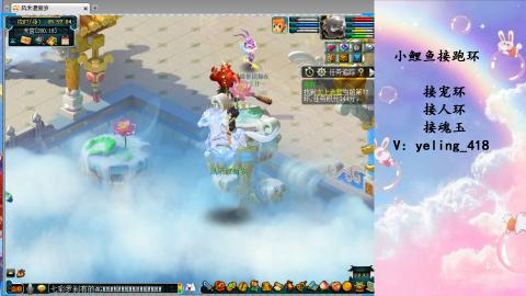 接命魂之玉 人环 宠环