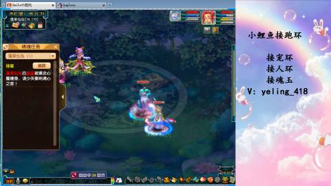 接命魂之玉 人环 宠环