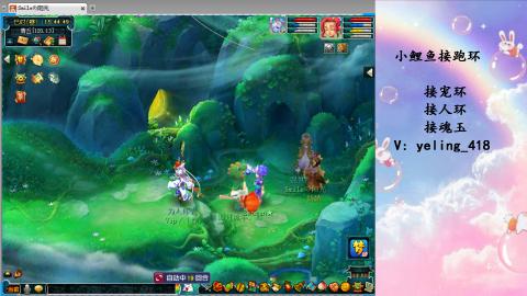 接命魂之玉 人环 宠环