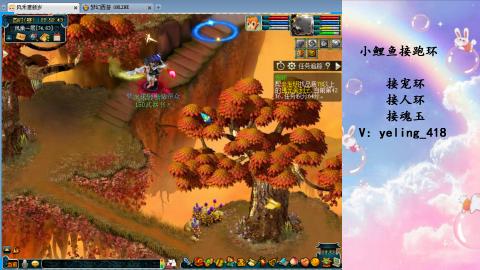 接命魂之玉 人环 宠环